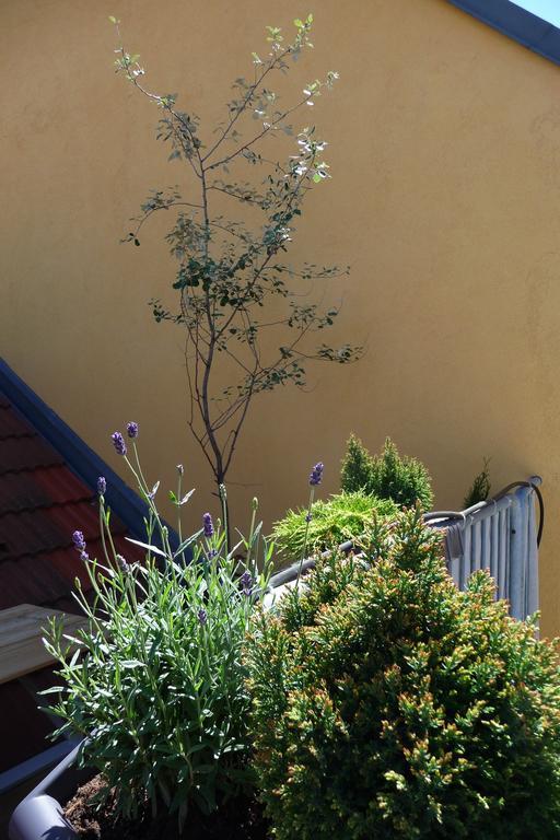 Mariahilf Terrace By Welcome2ウィーン 部屋 写真